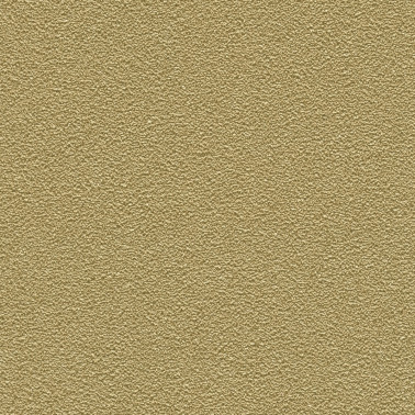 DESERT SAND 5821-50.jpg