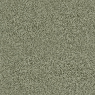 DESERT SAND 5821-81.jpg
