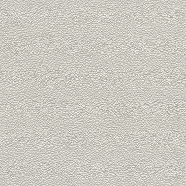 TIBURON SHAGREEN U421-18.jpg