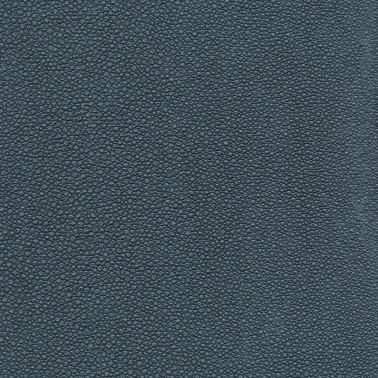 TIBURON SHAGREEN U421-79.jpg