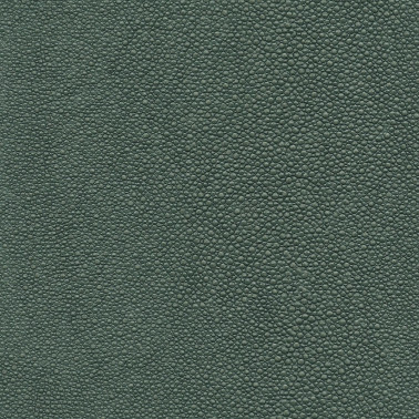 TIBURON SHAGREEN U421-89.jpg