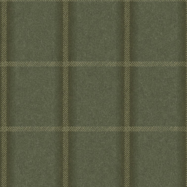 TATTERSALL-PLAID HEADLANDS TP21-01.jpg