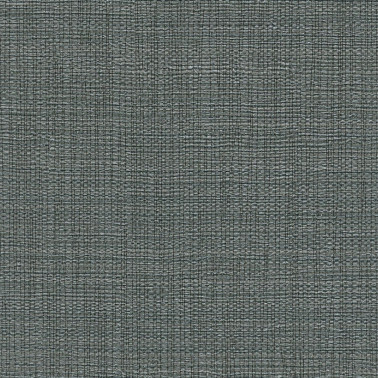 GILDED LINEN 6922-99.jpg
