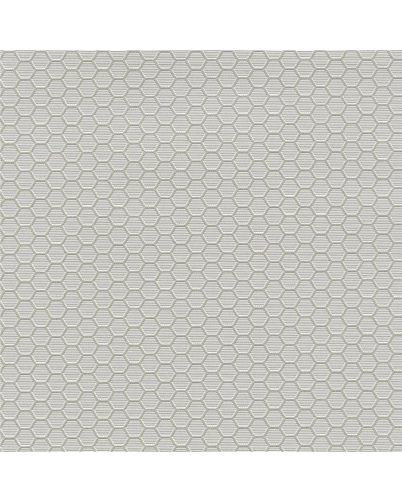 HEXAGON GRID 7422-12.jpg HEXAGON GRID 7422-12.jpg