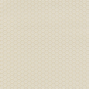 HEXAGON GRID 7422-20.jpg
