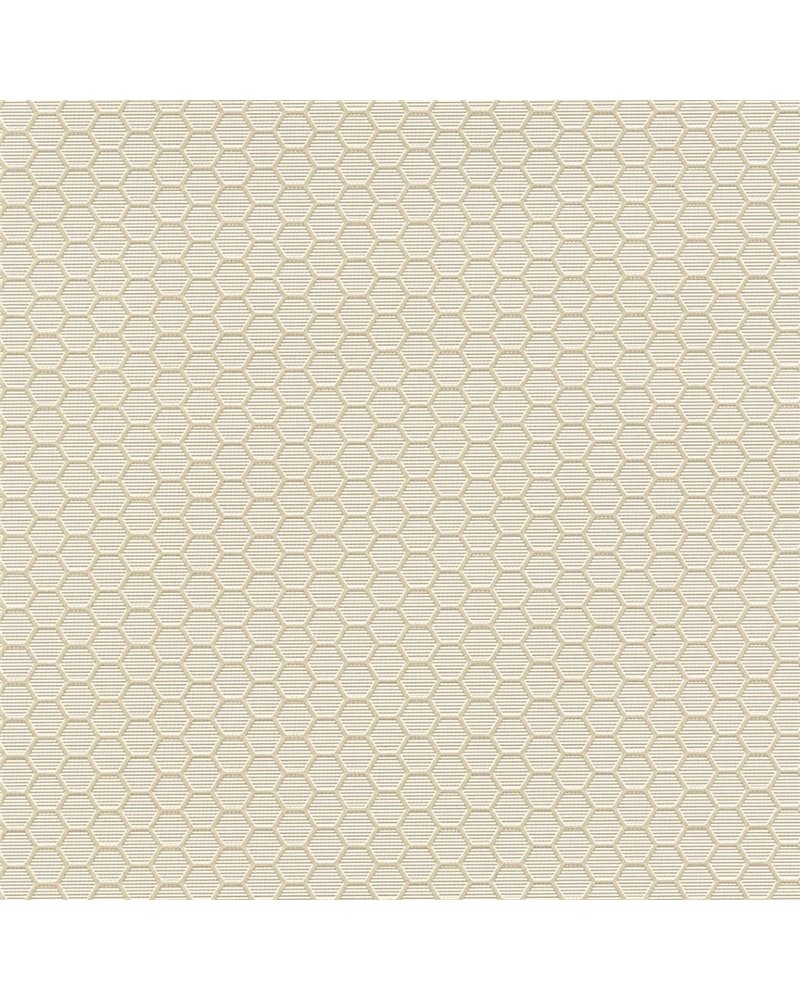 HEXAGON GRID 7422-20.jpg HEXAGON GRID 7422-20.jpg