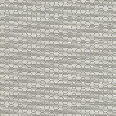 HEXAGON GRID 7422-33.jpg