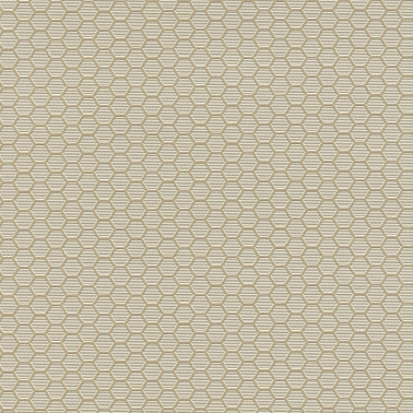 HEXAGON GRID 7422-40.jpg