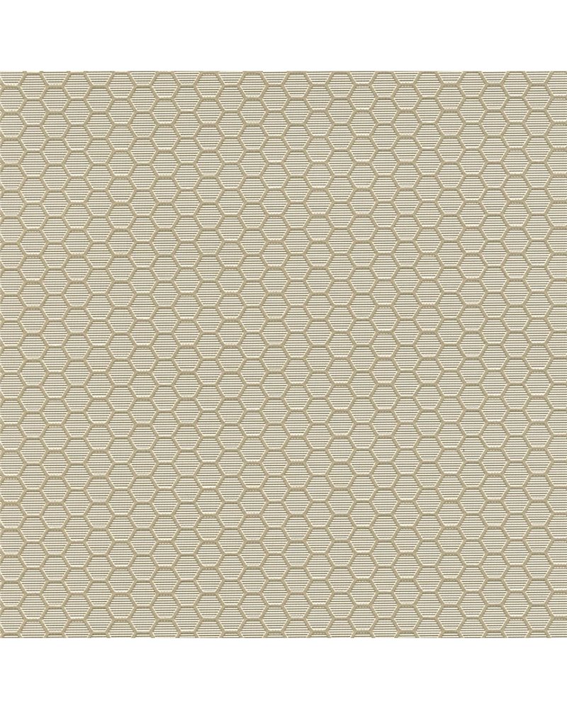 HEXAGON GRID 7422-40.jpg HEXAGON GRID 7422-40.jpg
