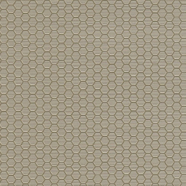 HEXAGON GRID 7422-50.jpg