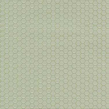 HEXAGON GRID 7422-83.jpg