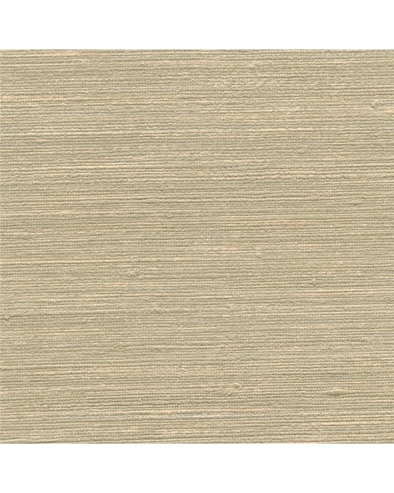 KASHI 7621-45 KASHI 7621-45