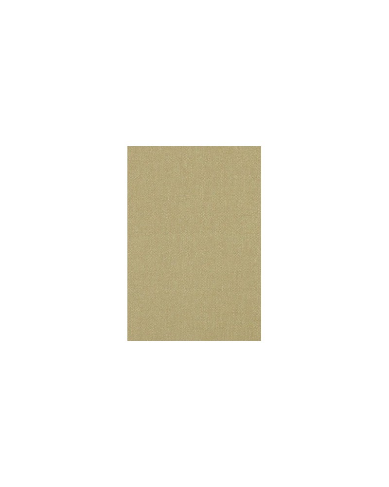 Papel Pintado Canto NCW4036_07 - NINA CAMPBELL