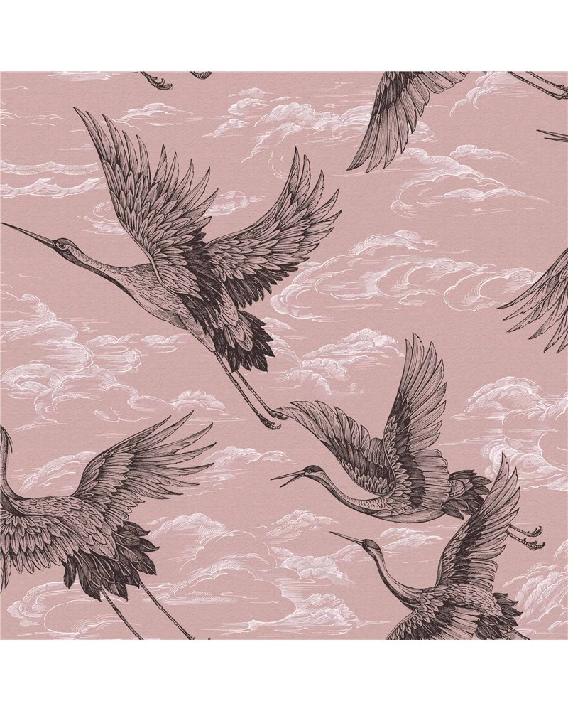 Imperial Ibis Rose B00135 Imperial Ibis Rose B00135