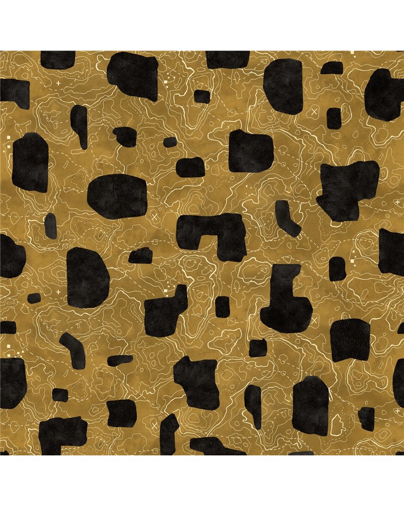PL5003-3_01 PL5003-3_01