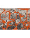 Prähistorische Blumen Orange M5005-2