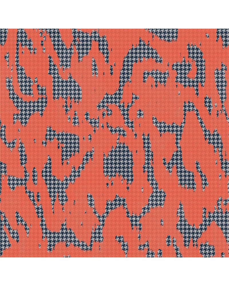 PL5001-6_01 PL5001-6_01