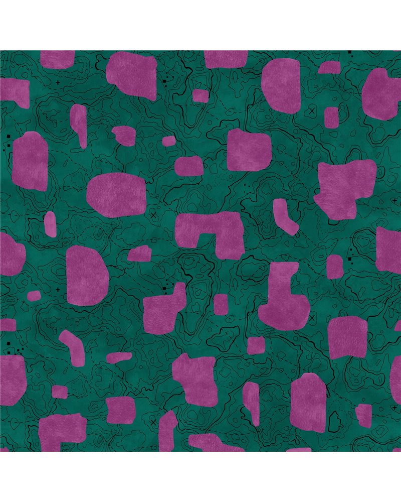PL5003-6_01 PL5003-6_01