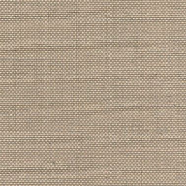 ALIGNED GLAZED WEAVE 5743