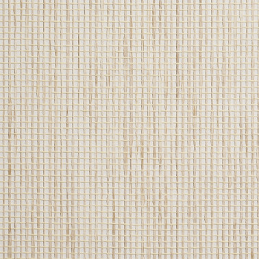 COASTAL WEAVE 9881
