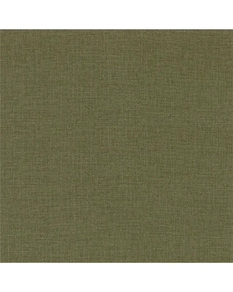 Lienzo Kaki 76333874 Lienzo Kaki 76333874