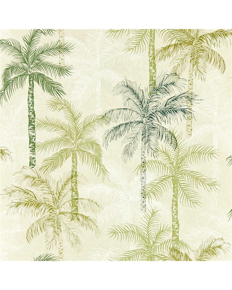 Palmyra Palm W0189-04