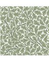 Oak Tree 82028