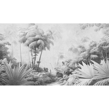 Clareza Graphite