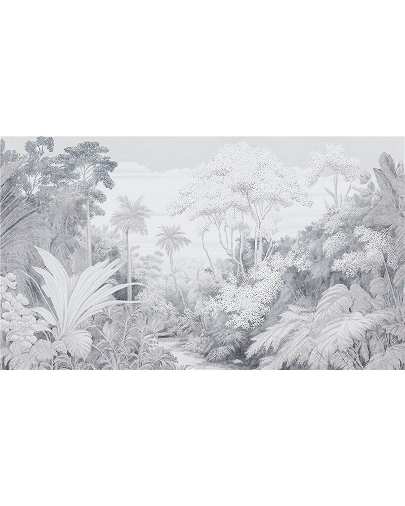 Frondise Graphite