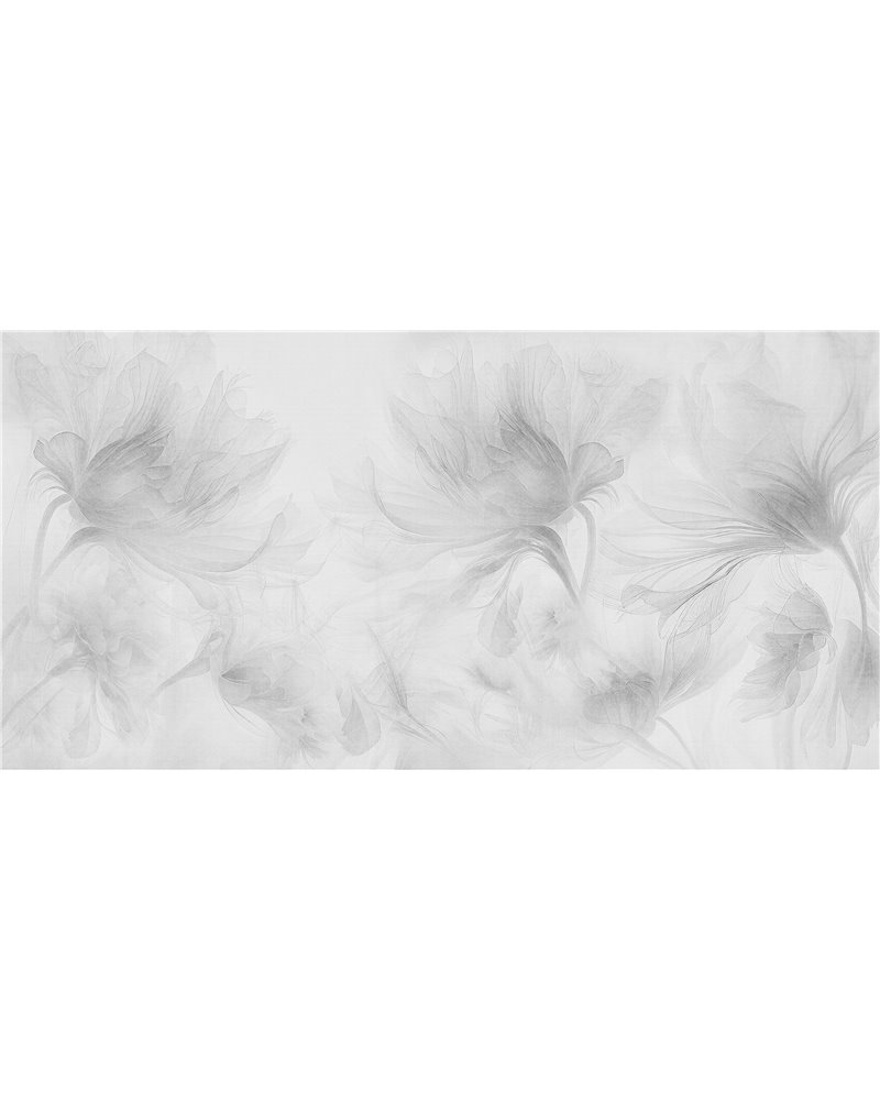 Gardenis Graphite