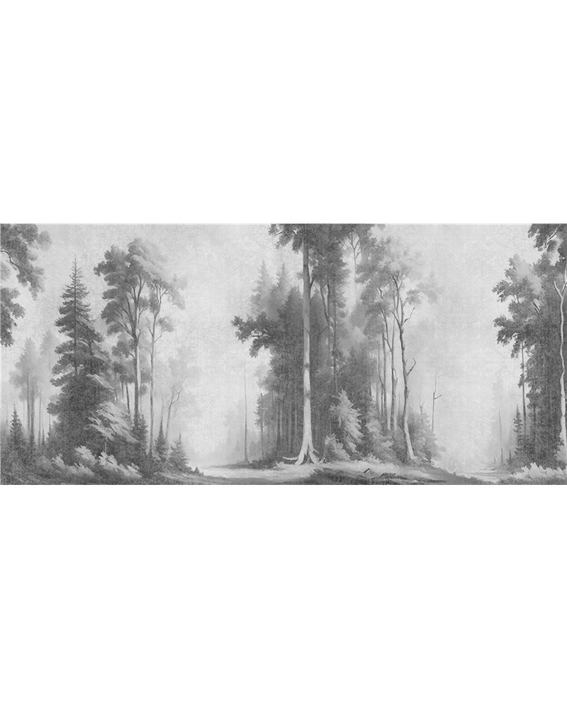 Timberly Graphite