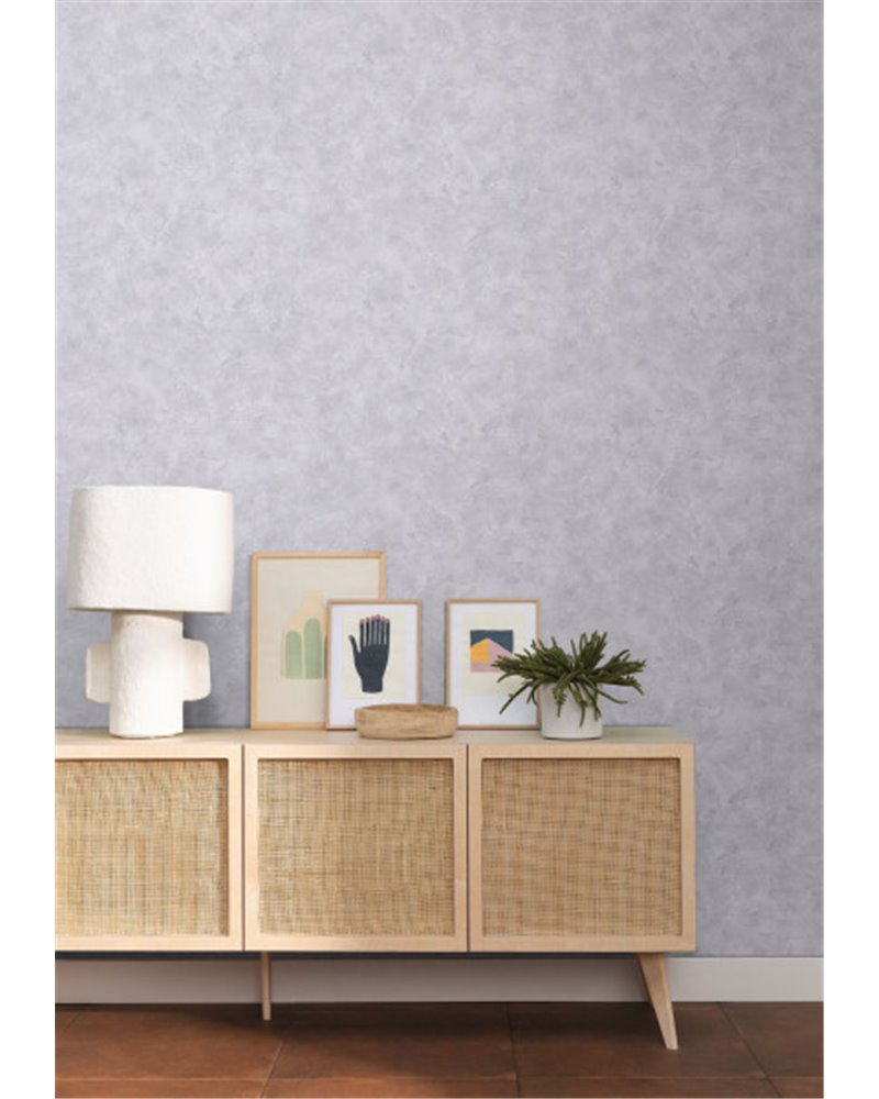 Patine Uni Gris Fonce 100229236