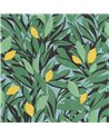 Cassis Vert Feuille Jaune 105457720