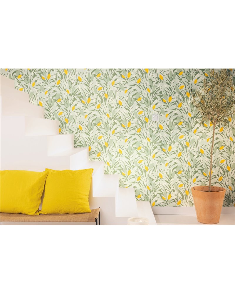 Cassis Vert Kaki Jaune 105457243