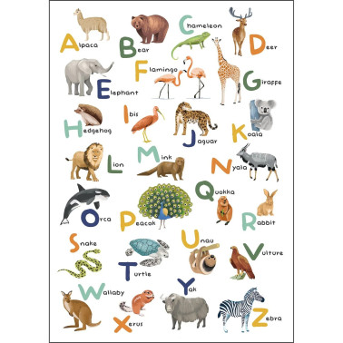 Let's Learn The Alphabet Multicouleurs L 105857004