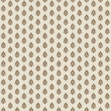 Clover Cacao B00317