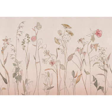 Countryside Pink B00363