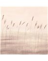 Jonc Des Dunes Naturel M 200081503