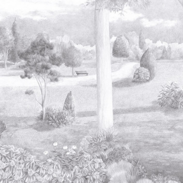 Jardin Public Noir Et Blanc...