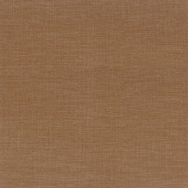Shinok Fauve 73819466