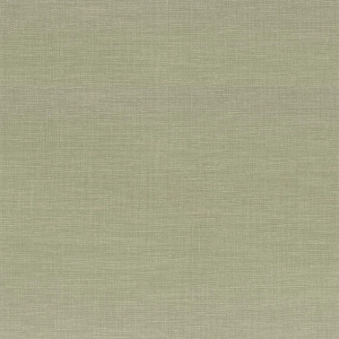 Shinok Cactus 73811009