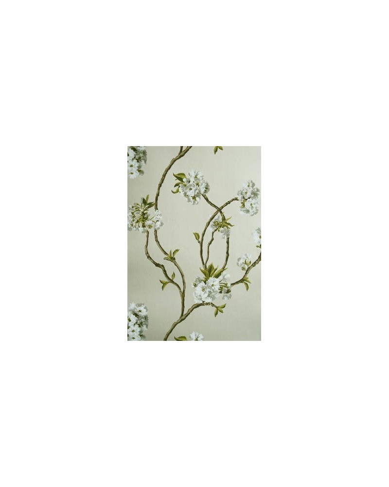 Papel de parede ORCHARD BLOSSOM NCW4027-05 - NINA CAMPBELL