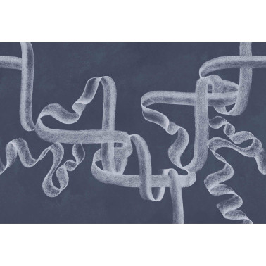 Ribbon Lapislazuli B00250