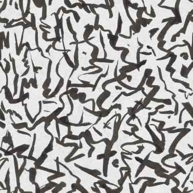 Fluid Coal B00226