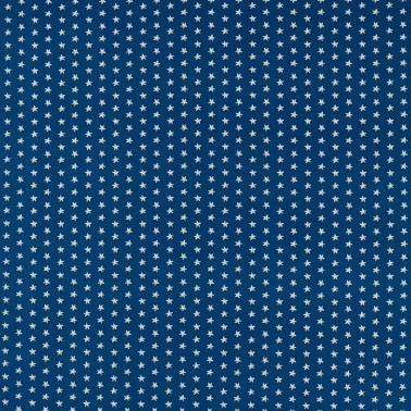 Seastar Navy F1730-04