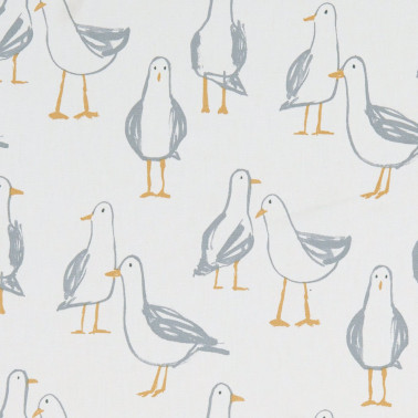 Laridae Natural F1192-02