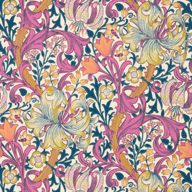 Golden Lily Pink Fizz AARC510006