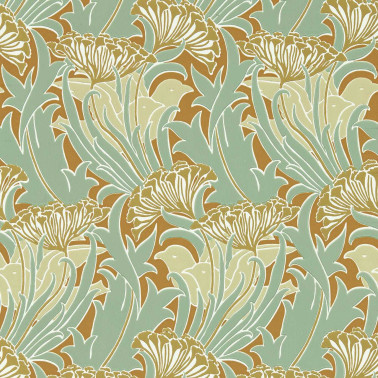 Laceflower Tobacco Pistachio MVOW217354