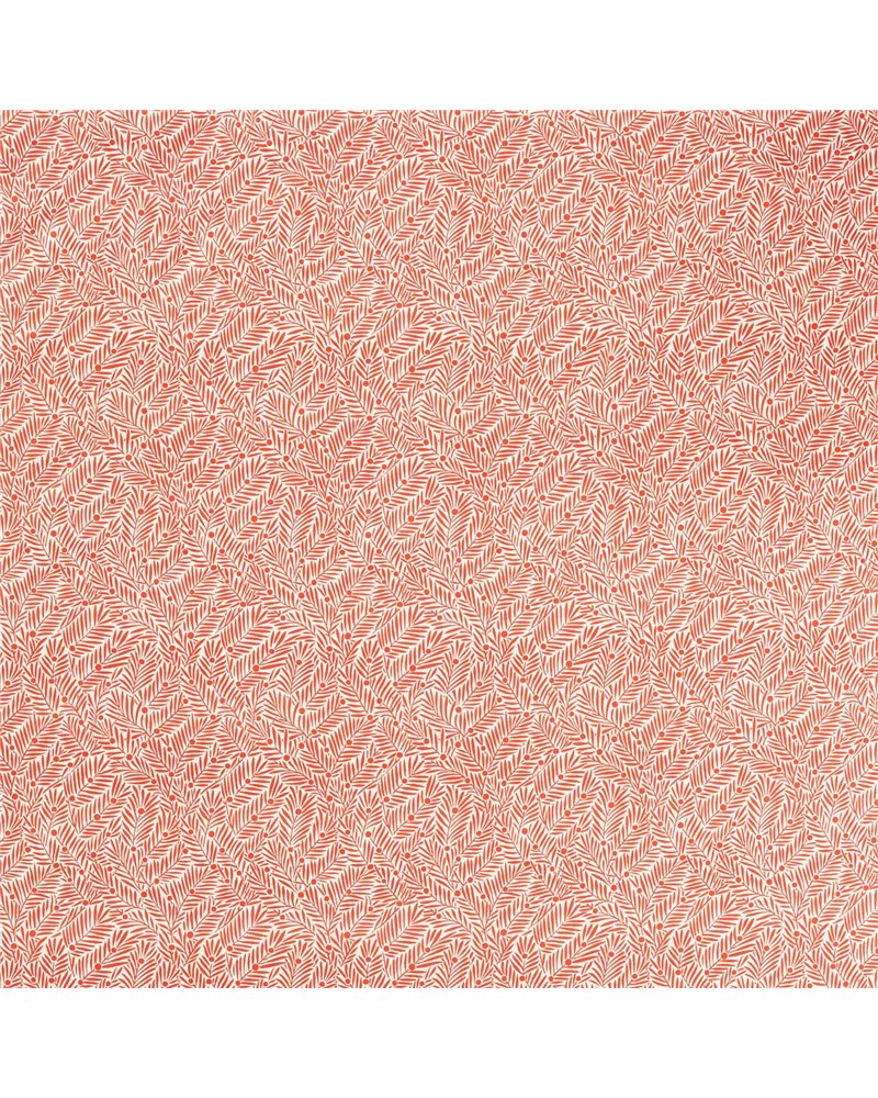 Yew & Aril Watermelon MVOF227226 Yew & Aril Watermelon MVOF227226