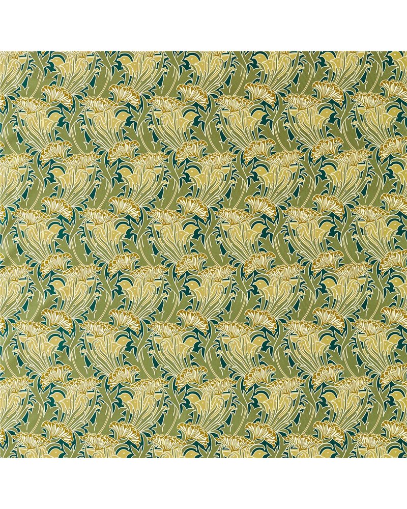 Laceflower Pistachio Lichen MVOF227228 Laceflower Pistachio Lichen MVOF227228